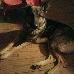 Meet your Posher, Starla